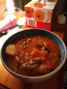 home-made-veggie-soup